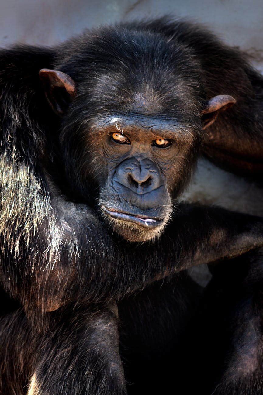 Trusting your instincts